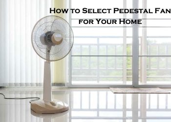 Pedestal Fan