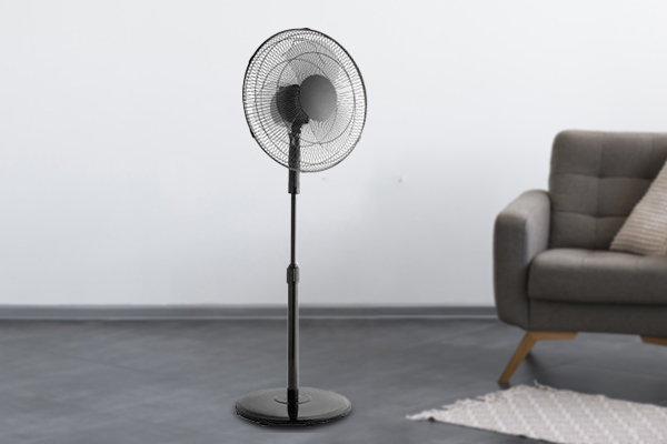 Pedestal Fan 